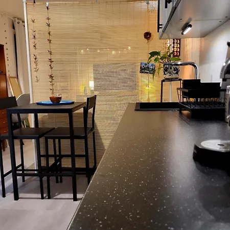 Apartment De 30m2 Agreable Et Chaleureux