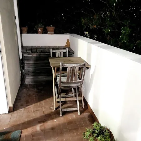 Apartment De 30m2 Agreable Et Chaleureux Perols